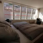 Ferienwohnung Dresden Neustadt